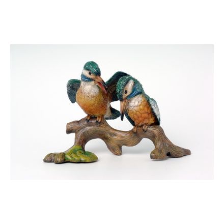 2 Eisvögel auf Ast