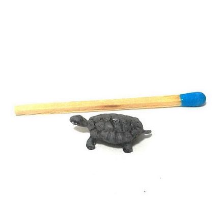 Mini: Schildkröte