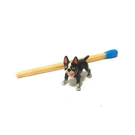 Mini: French Bully stehend
