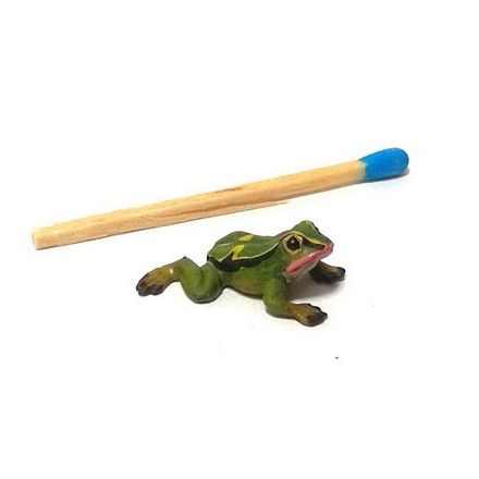 Mini: Frosch