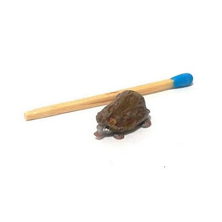 Mini: Igel