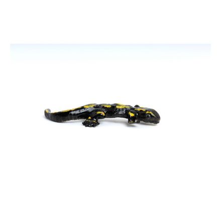 Mini: Salamander
