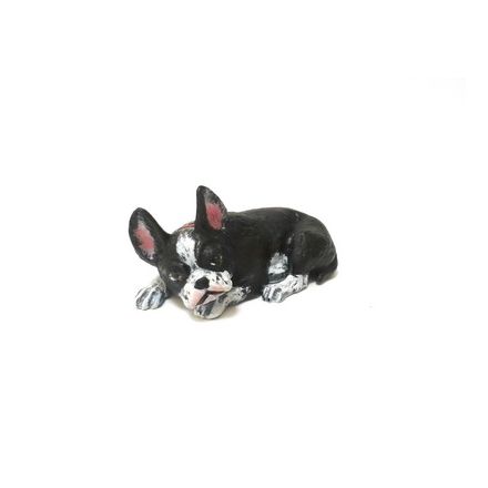 French Bully liegend