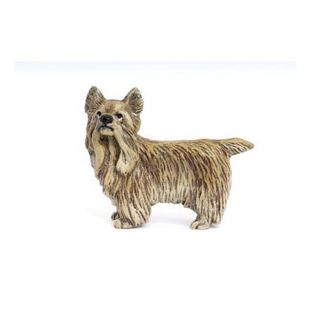 Yorkshire Terrier steh.