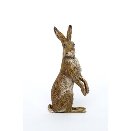 Hase sitzend/aufrecht