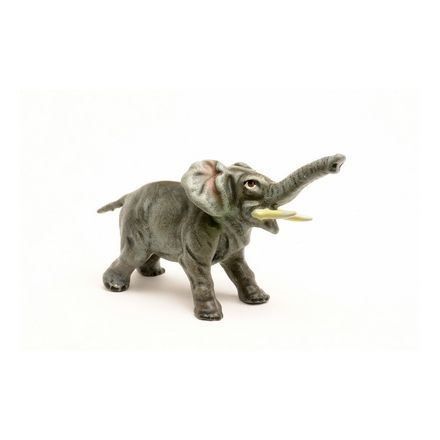 Elefant Rüssel gestreckt