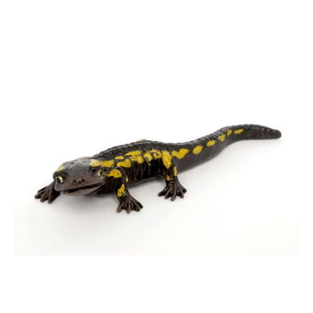 Salamander