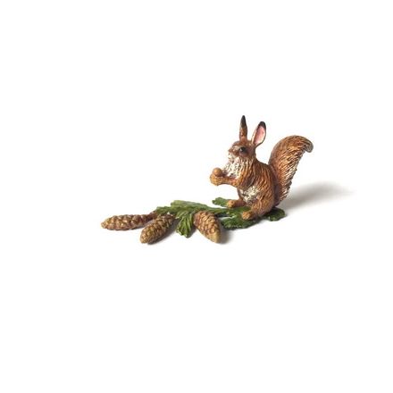 Eichhörnchen auf Ast