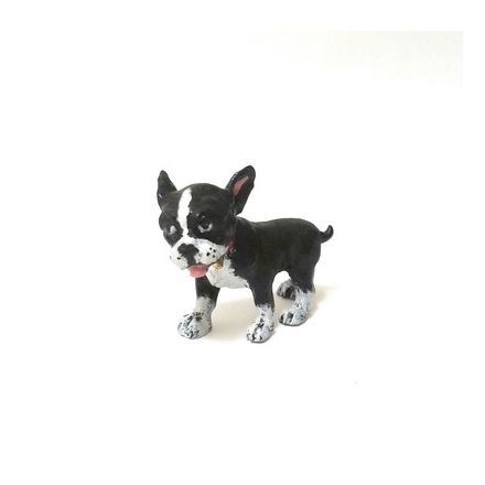 French Bully Junges