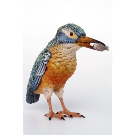 Eisvogel mit Fisch