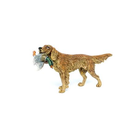 Irish Setter mit Ente