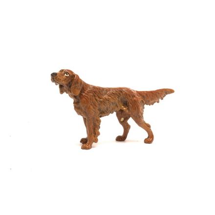 Irish Setter