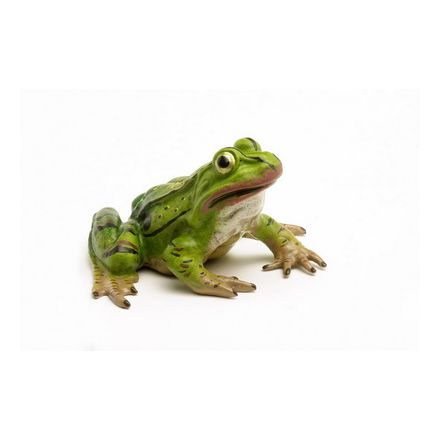 Frosch gr./sitzend
