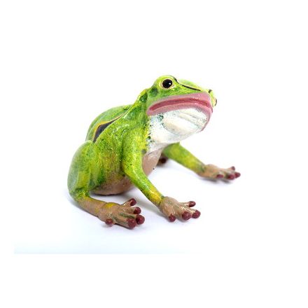 Frosch Kopf hoch