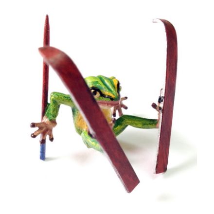 Frosch auf Ski
