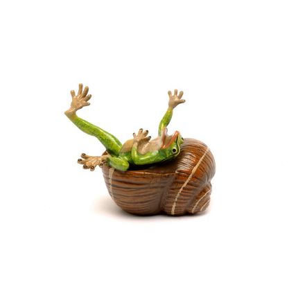 Frosch im Schneckenhaus