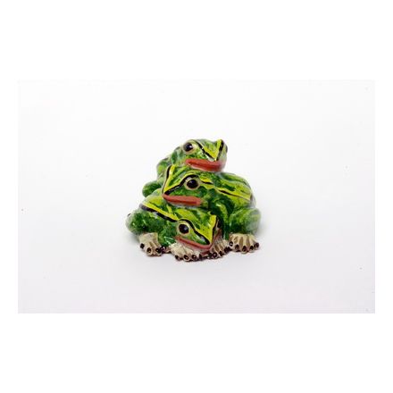 Froschfamilie