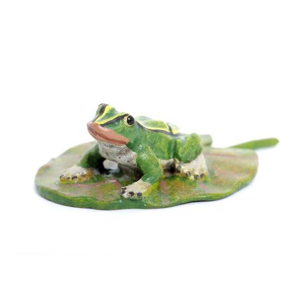 Frosch auf Blatt/sitzend