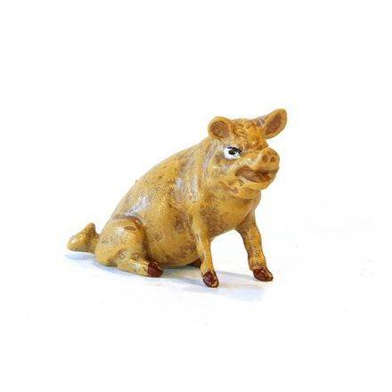 Schwein sitzend