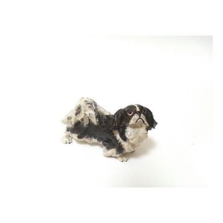 Pekinese
