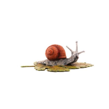 Schnecke auf Blatt