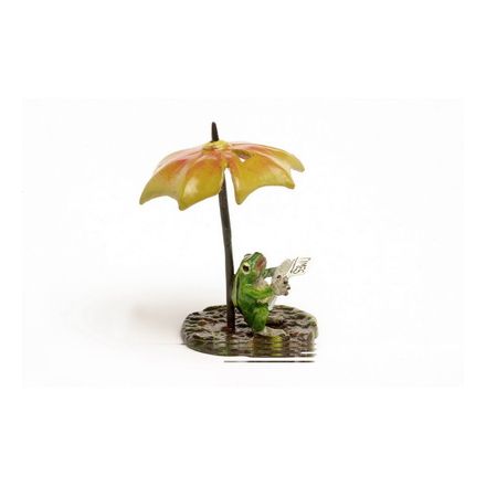 Frosch Zeitung/Schirm