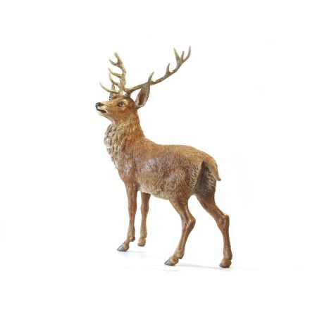 Hirsch stehend
